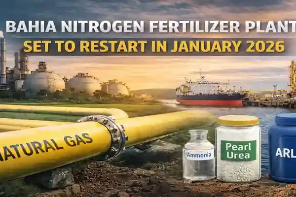 Bahia fertilizer plant restart