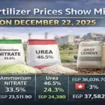 Egypt fertilizer prices