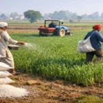 Indian urea sales December