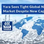 Global nitrogen market