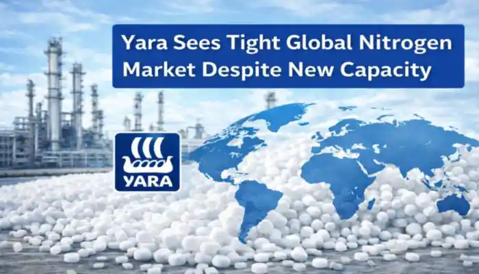 Global nitrogen market