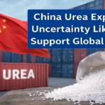 China urea exports