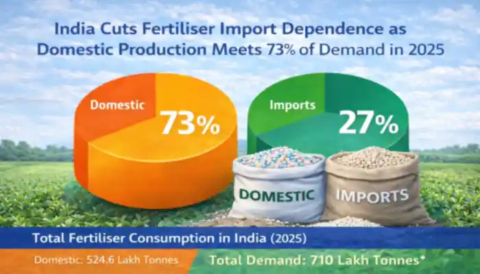 India fertiliser production