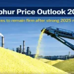 Sulphur Price Outlook 2026