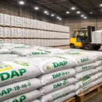 India DAP stock decline