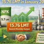 India P&K Fertilizer Production