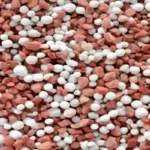 Nutrien potash demand 2026