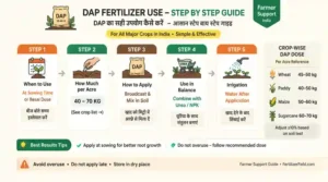DAP Fertilizer Use Guide India step by step crop dosage infographic