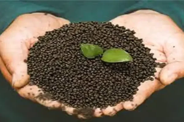 FACT NPK Tender 2026 fertilizer granules in hand for NPK 15:15:15 and 16:16:16 supply