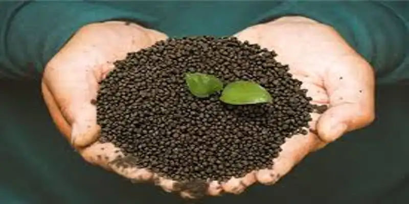FACT NPK Tender 2026 fertilizer granules in hand for NPK 15:15:15 and 16:16:16 supply
