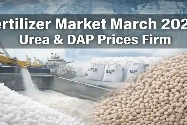 Fertilizer market March 2026 showing urea and DAP price trends