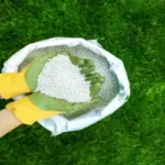 global fertilizer market March 2026 urea granules in farmer hands agriculture demand