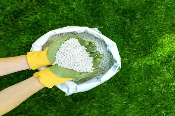 global fertilizer market March 2026 urea granules in farmer hands agriculture demand