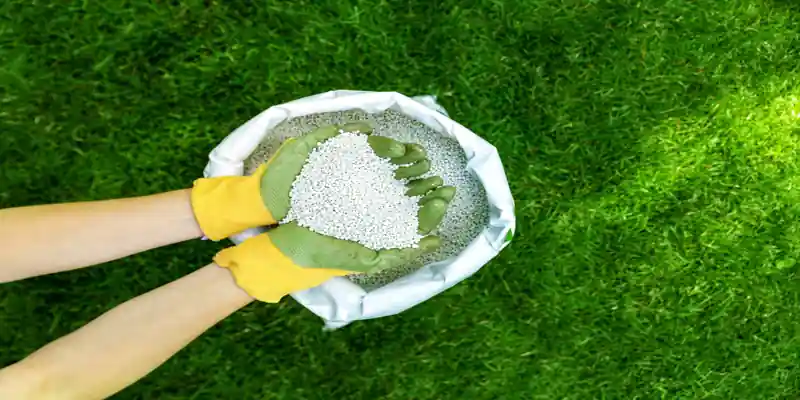 global fertilizer market March 2026 urea granules in farmer hands agriculture demand
