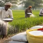 fertilizer sales March 2026 India farmers applying urea in wheat field
