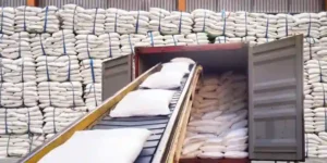 Fertilizer bags loading in warehouse for distribution in India supply chain