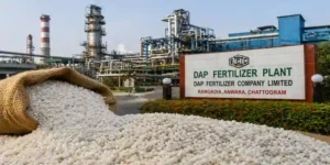 Bangladesh DAP fertilizer plant with industrial units and urea granules showing fertilizer production shutdown due to ammonia shortage