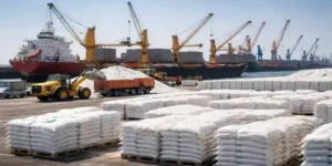 Fertilizer import operations at port with urea bags and cargo ships for Indian fertilizer imports