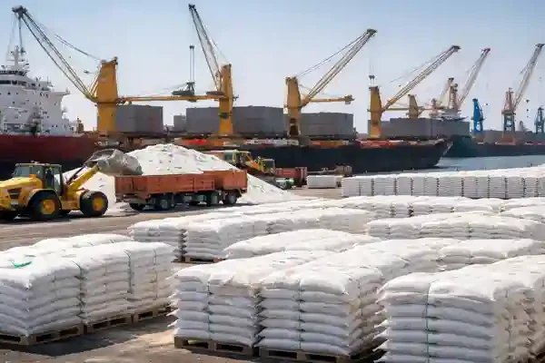 Fertilizer import operations at port with urea bags and cargo ships for Indian fertilizer imports