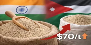 phosphoric acid contract price in sacks with scoop against blurred India and Jordan flags background showing price increase trend