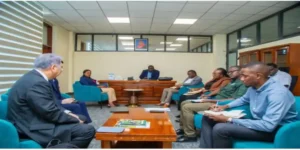Toyo Engineering delegation meeting with Tanzanian officials for Tanzania fertilizer plant project