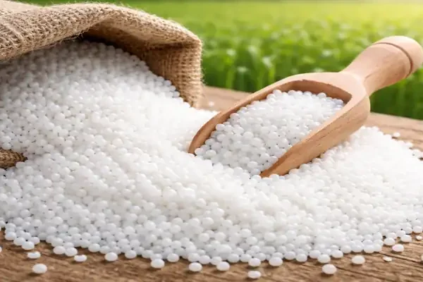 Urea Market Update April; Urea fertilizer granules in a burlap sack with wooden scoop on a farm field background