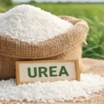 Urea fertilizer granules in sack for agriculture - Urea Market Update April 2026
