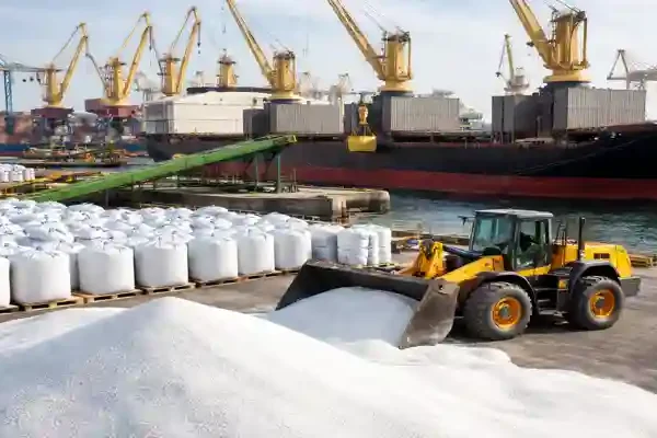 Indian urea import operation at port with cargo ship, cranes, and loader handling bulk granular urea for shipment