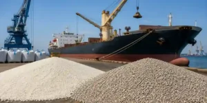 Bulk fertilizer cargo ship unloading DAP and TSP fertilizers at a commercial port, with large fertilizer stockpiles and cranes handling imports from Morocco to India.