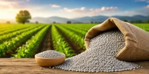 OCP Bangladesh Fertilizer Agreement